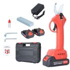 BLUETHY Sécateur Électrique Sans Fil,Sécateur Électrique Professionnel,Élagueur Électrique Alimenté sans Fil, 2 Batteries(21V/2000mAh),600W