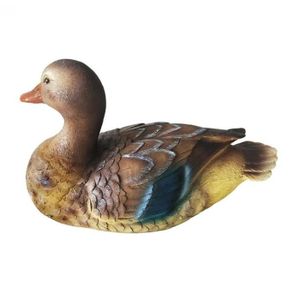Canard Mandarin Cdiscount