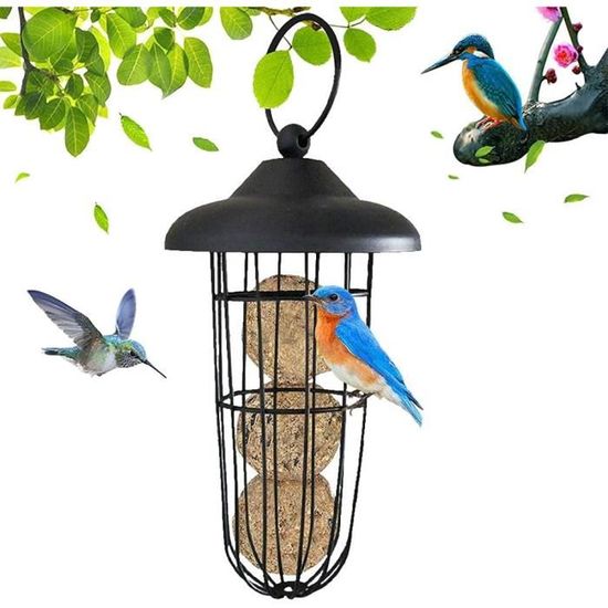 Ficheurs Doiseaux Extérieurs Mangeur Doiseaux De Style Gazebo