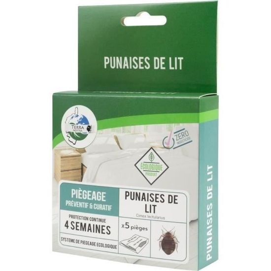 Plaque Punaise De Lit
