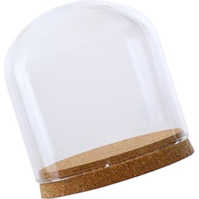 Verre Clair Cloche Dôme Couverture Paysage Terrarium Contenant Avec Base En Bois S