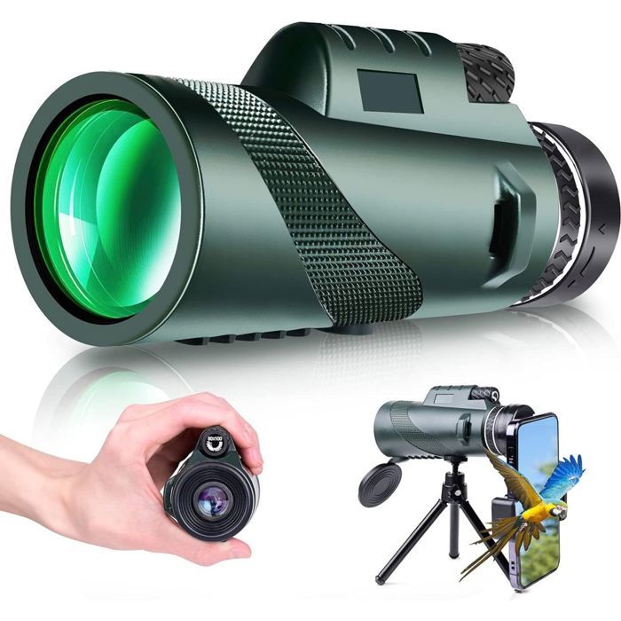 Télescope monoculaire - 80x100 - 80x - Objectif 100 mm - Prisme BAK-4 ...