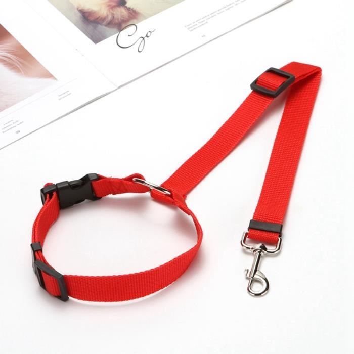 Harnais Ceinture De Sécurité Universel Pour Chien Et Chat KYLOS - Ajustable 45-65cm, Absorption Des Chocs, Certification Européenne - Pour Voiture - 14