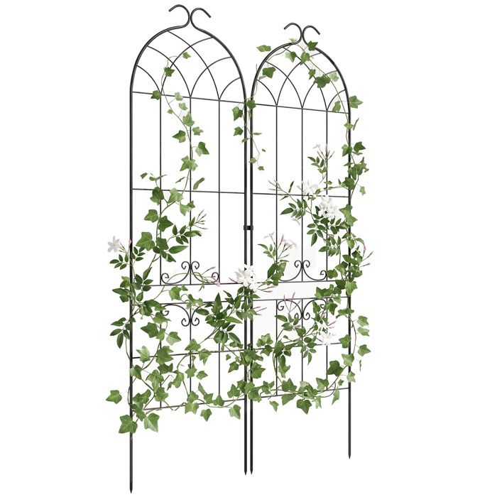 Treillis Pour Plantes Grimpantes MASINIES - Lot De 2 - Support Jardin Intérieur/Extérieur