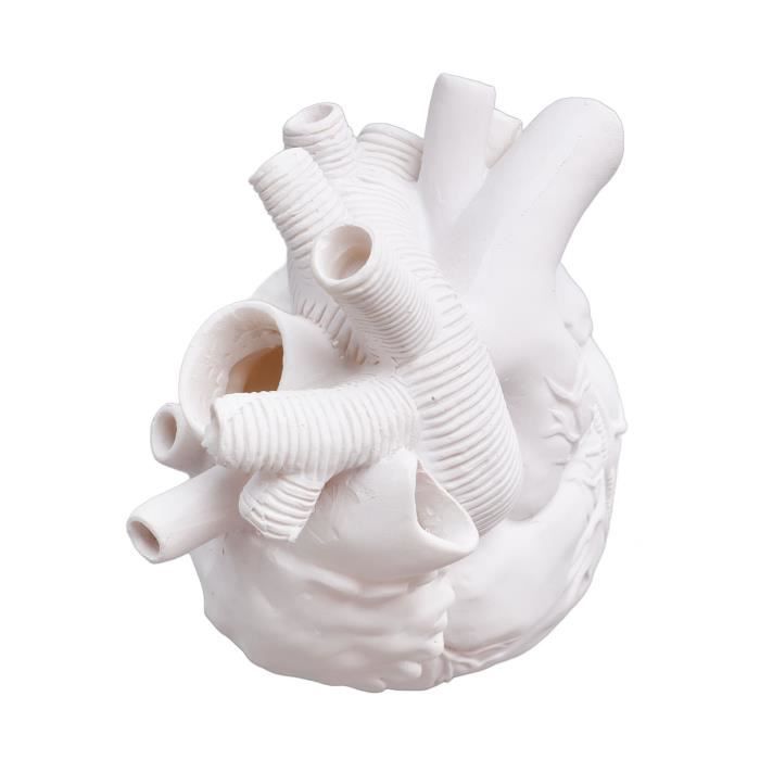 Vase Cœur Anatomique En Résine Blanche – Décoration Moderne & Originale Pour Salon, Chambre & Cadeau