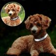 Airuidoing – collier de chien personnalisé en cuir réfléchissant, nom d'identification gravé personnalisé pour chiot [A029298]-1