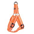 Type de charge Collier de chien réglable, gilet de harnais de chien rembourré lumineux coloré, orange, L-1