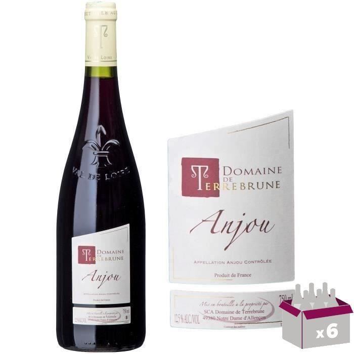 Domaine de Terrebrune 2020 Anjou - Vin rouge de Val de Loire x6