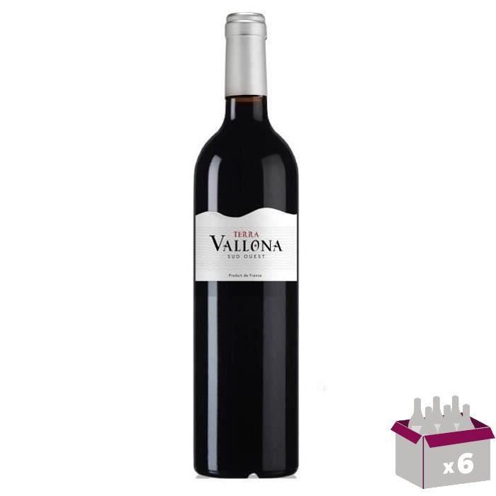 Terra Vallona Comte Tolosan - Vin Rouge du Sud-Ouest x6