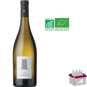 VIN BLANC Clos des Orfeuilles 2019 Muscadet Sèvre et Maine sur Lie - Vin blanc de Loire - Bio x6