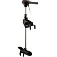 Moteur electrique 55lbs
