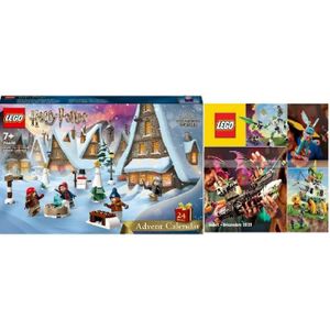 LEGO Harry Potter 76414 - Expecto Patronum, Maquette 2-en-1 avec Figurines  Animales Cerf et Loup, Décoration Accessoire de Chambre pas cher 