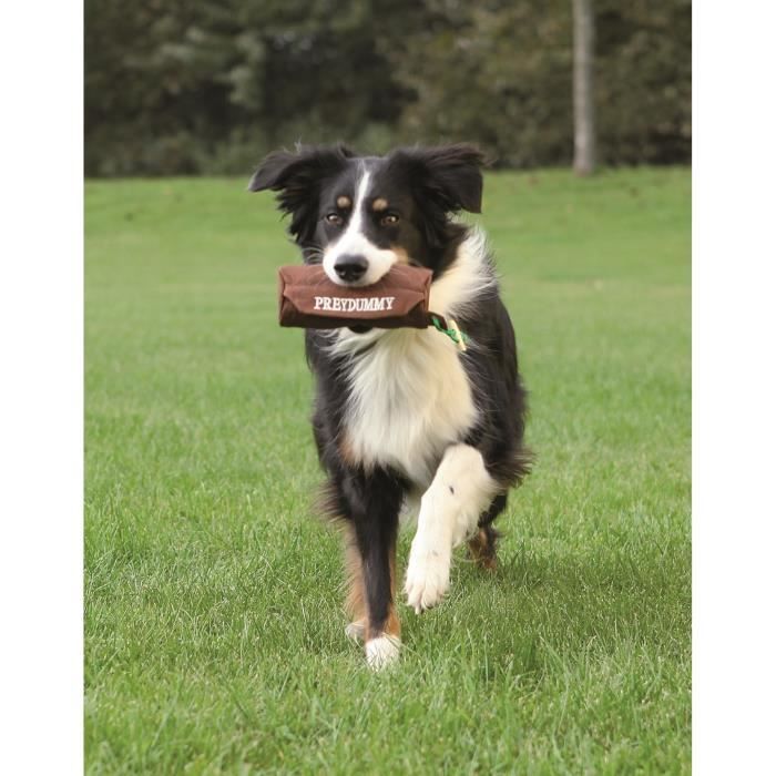 TRIXIE Dog Activity Preydummy jouet pour chien ø 5 × 12 cm