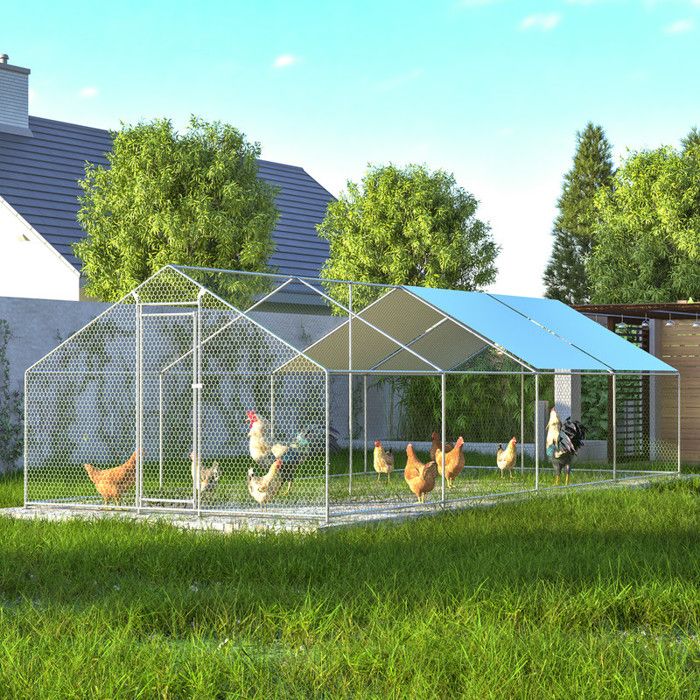 Thanaddo Poulailler 3×8×2 m acier galvanisé imperméable