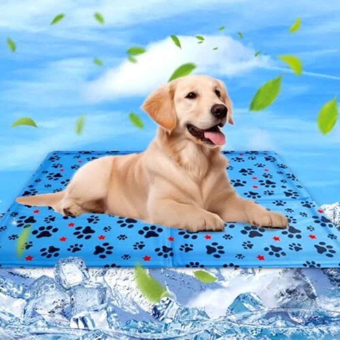 Tapis Rafraichissant Chien & Chat Coussin Rafraichissant pour Chien Tapis Refrigerant pour Animaux Étanche et Facile à Nettoyer