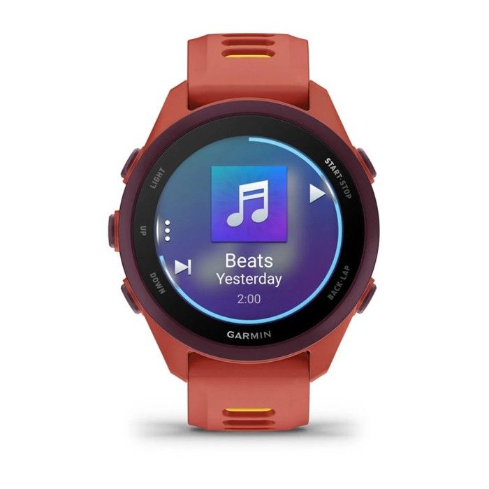 Garmin Forerunner 170 Music