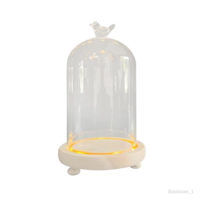 Présentoir PARADIS Bois Cloche Verre - Art de la Table | B&Inside