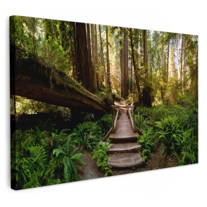 Impression sur Toile 100x40cm Tableaux Image Photo arbre jungle vague