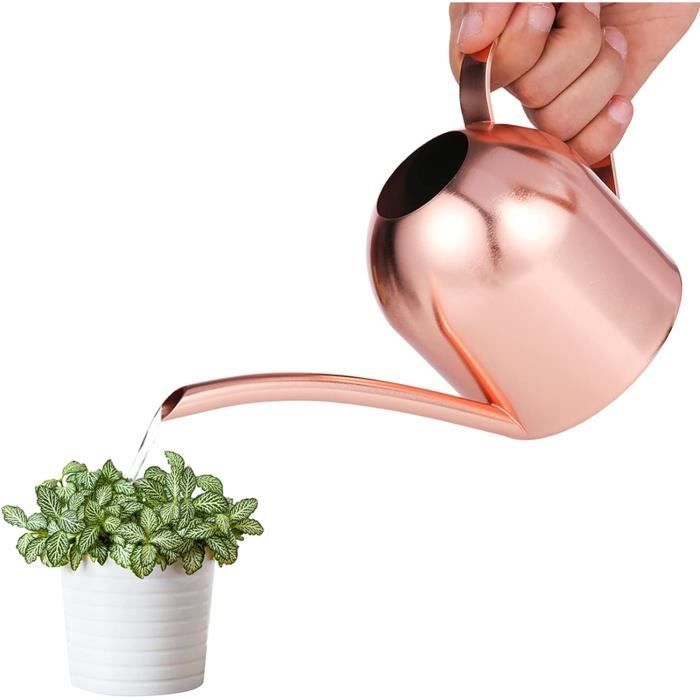 Arrosoir Noir En Acier Inoxydable - 1,5 L - Pour Plantes D'Intérieur Et D'Extérieur - Pour