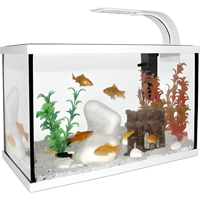 Aquarium Poisson Équipé 20 Litres Scalaire 40 Blanc - Capac