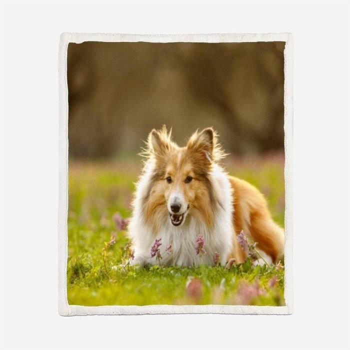 RFFLUX 3D Teckel Couverture 100x130 Cm 1 Personne Douce Et