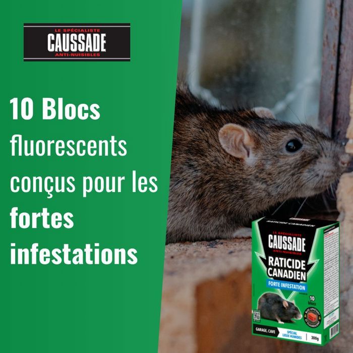 Mort Aux Rats CAUSSADE Anti Rats & Souris - Efficacité Radicale