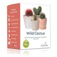 Cultivea Mini – Kit Prêt à Pousser Cactus – Graines Françaises 100% Écologiques - Jardinez et décorez - Idée Cadeau (Pitaya “-0