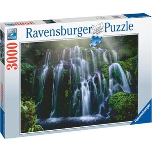 PUZZLE Ravensburger - Puzzle Adulte - Puzzle 3000 pièces 