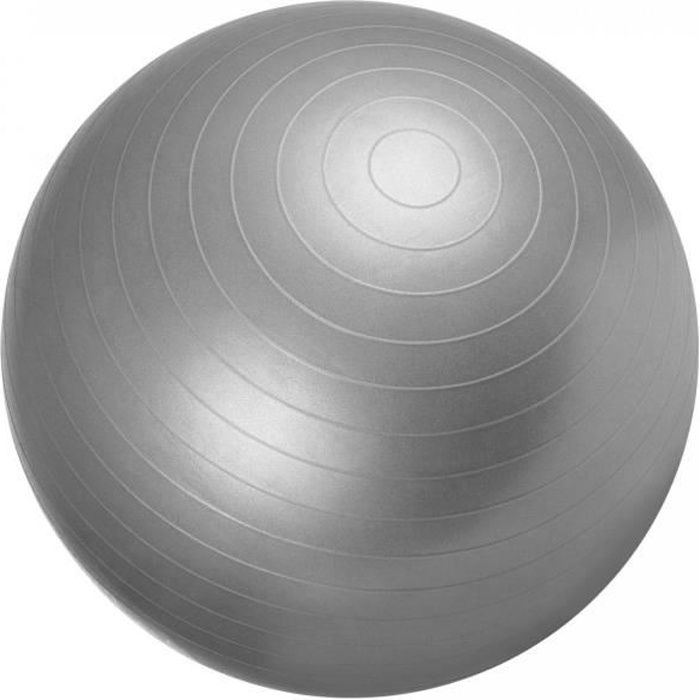 Swiss ball - Ballon de gym 65cm Gris