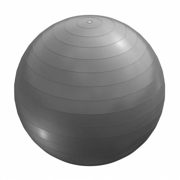 Swiss ball - Ballon de gym 65cm Gris