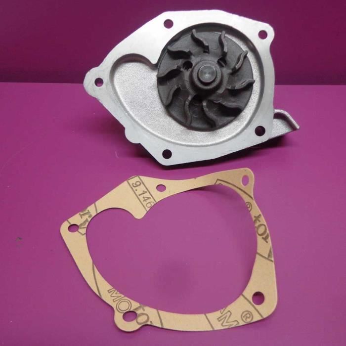 Pompe à Eau Ggt Pour Renault Scenic Ii 19 Dci