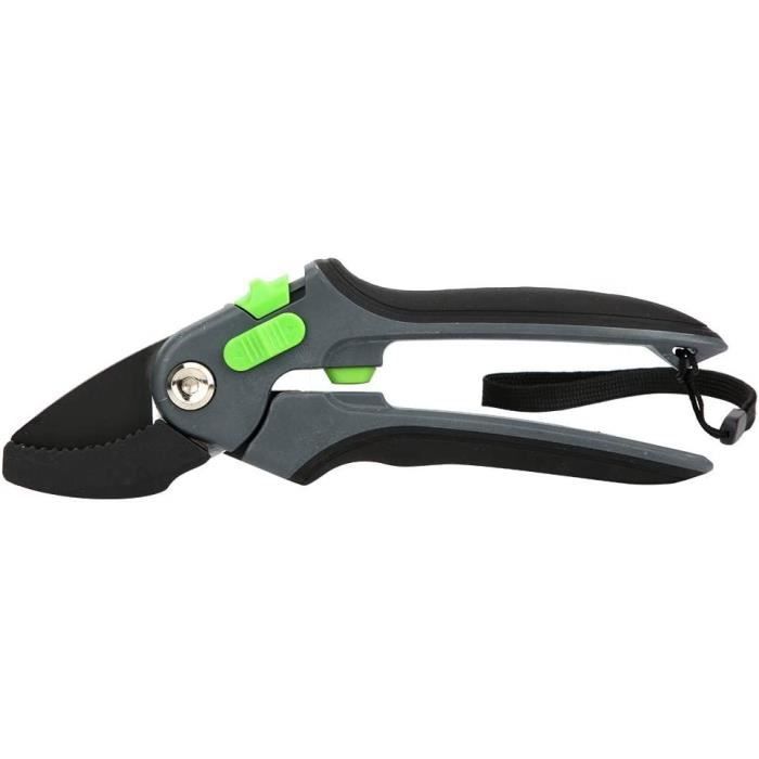 Sécateur à Tige Extensible Pour Arbre (ciseaux + Scie), Sécateur Manuel