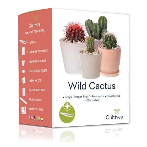Cultivea Mini – Kit Prêt à Pousser Cactus – Graines Françaises 100% Écologiques - Jardinez et décorez - Idée Cadeau (Pitaya “