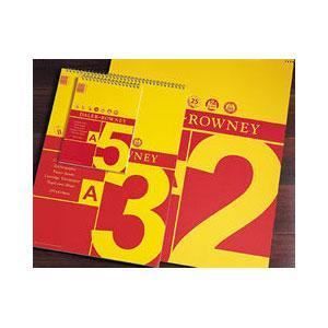 Daler Rowney rouge et jaune A3 spirale Sketch Pad