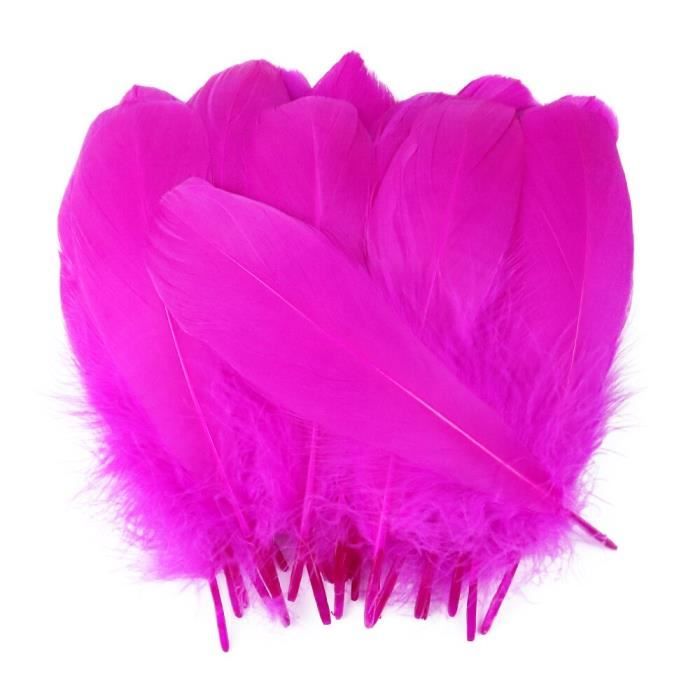 Asudaro 50 Pcs Plumes Couleurs Mélangées,4,5~10CM Plumes D