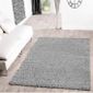 Tapis De Salon à Longs Poils Gris 100x200 Cm