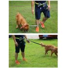 Laisse de Chien - ADTOBAST - Ceinture Mains-libres - Élastique - Nylon - Pratique pour Jogging
