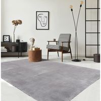 Tapis de Salon ou chambre en gris 240x340 | Tapis poil ras moderne et doux | Rectangulaire | Interieur - The Carpet Loft xxl