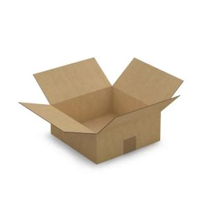 CAISSE DEMENAGEMENT 5 cartons d'emballage 25 x 25 x 10 cm - Simple can
