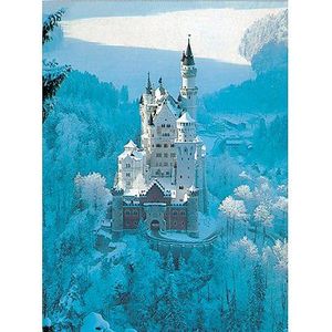 PUZZLE Puzzle Neuschwanstein Castle in Winter