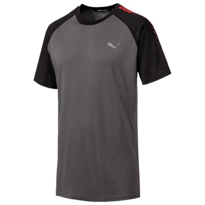 Vêtements Homme T-Shirts Puma Collective