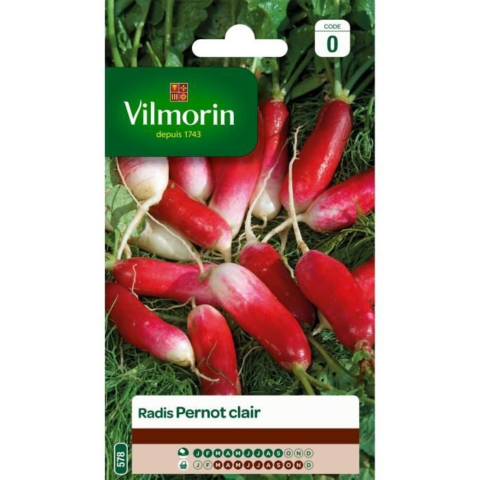 VILMORIN Radis Pernot clair