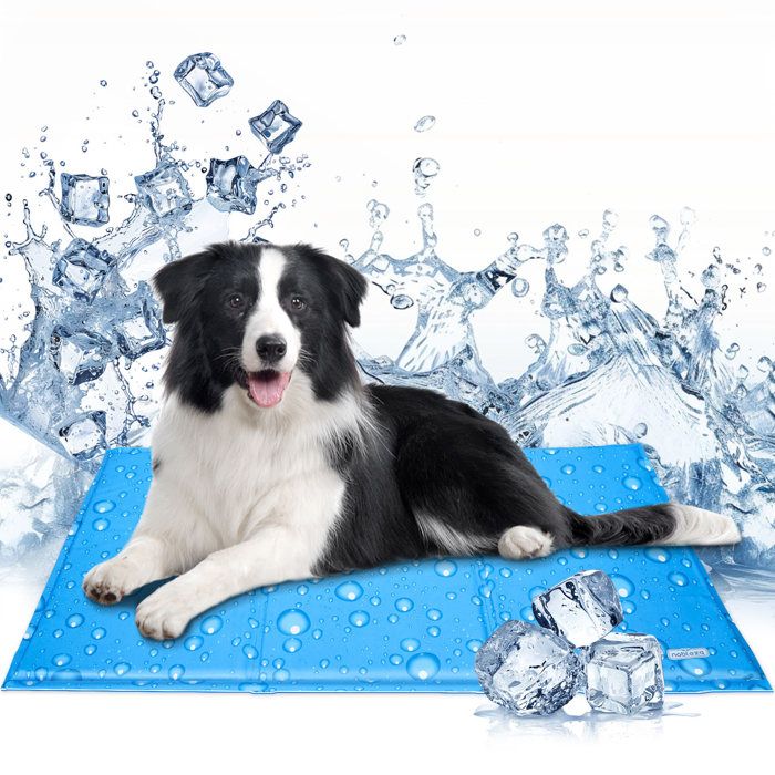 Nobleza - Tapis Rafraichissant Chien Chat, Tapis Refroidissant pour Chien, L,90x50CM