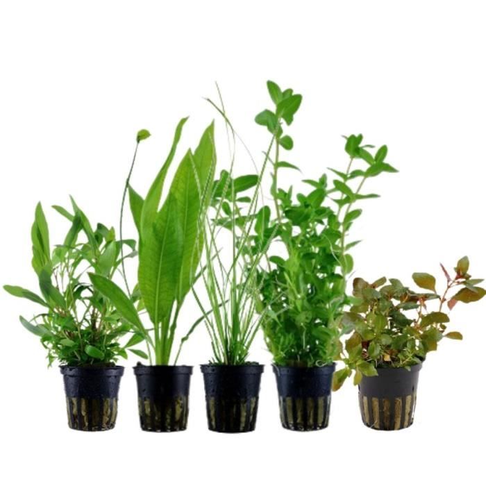 Comparer les prix de AquaOne Plantes d'aquarium - Set de pots de plantes No.117