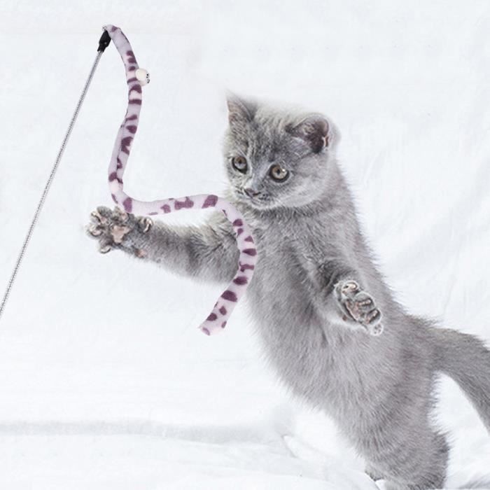 Interaction De Chat De Compagnie De Chat Drole De Decompression De Baton De Chat Longues Longues Cloches Confortables Cjjgy Cdiscount Animalerie Interaction De Chat De Compagnie De Chat Drole De Decompression De Baton De Chat Longues Longues Cloches Confortables Cjjgy Cdiscount Animalerie