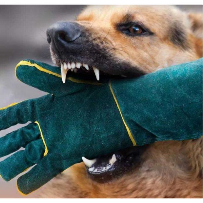 Achetez FIPASEN Anti-Morsure Gants de Manutention pour Animal, 60cm