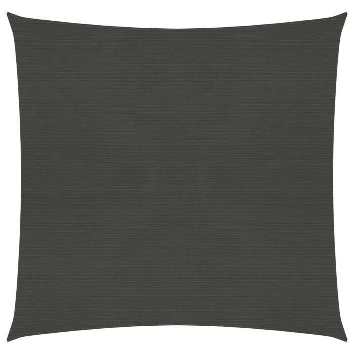 Voile d'ombrage VIDAXL 4x4 Carré 160 gm² Perméable au vent et à 'eau