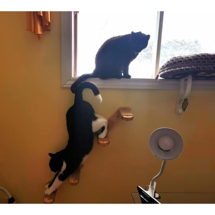 Mur d'escalade pour chats-Escalier pour chat - Étagère murale pour chat-Étagère  murale pour chat-Étagère murale pour intérieur - Cdiscount Maison