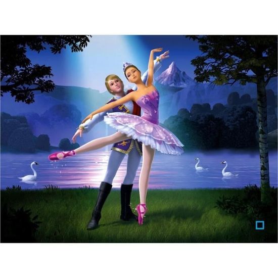 Blu Ray Barbie Reve De Danseuse Etoile En Blu Ray Dessin Anime Pas Cher Cdiscount
