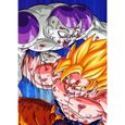 Poster Affiche Goku Fracasse Freezer Dragon Ball Z Manga Dbz(30x42cmB)-0